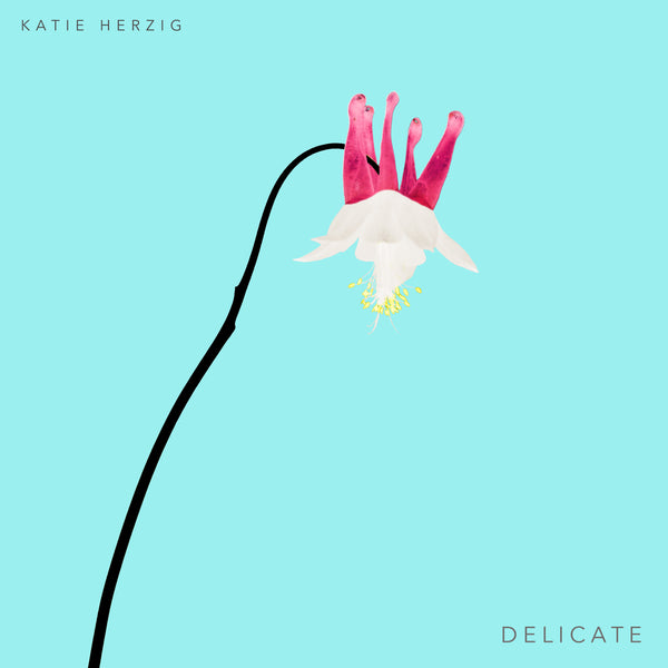 Delicate EP (CD)